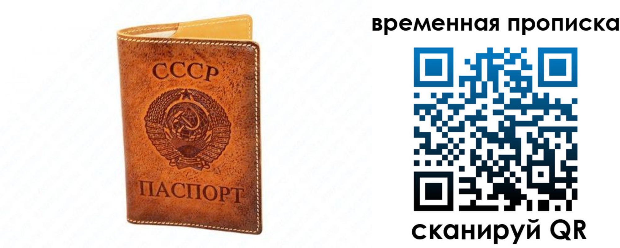 временная прописка в Новотроицке